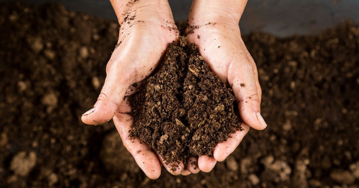 Créez votre propre tas de compost