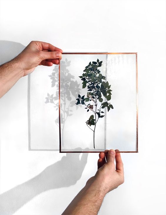 diy_cadre_en_verre_herbier_decoration_responsable