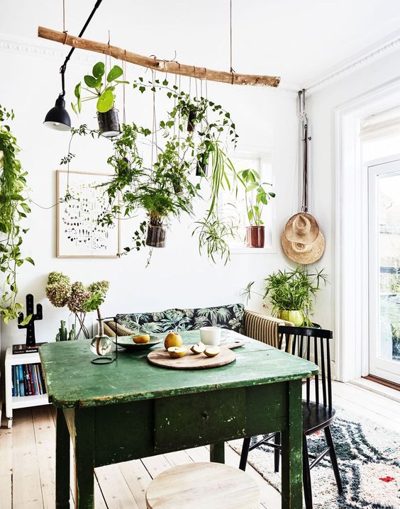 diy_plantes_suspendues_avec_branche_decoration_maison