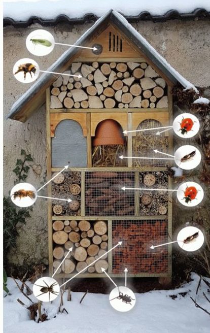 maison_insectes_quels_materiaux_choisir