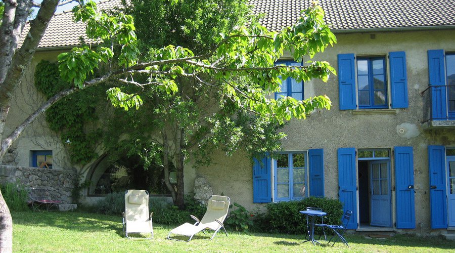 un_arbre_pour_garder_sa_maison_au-frais-ECOHABITATION