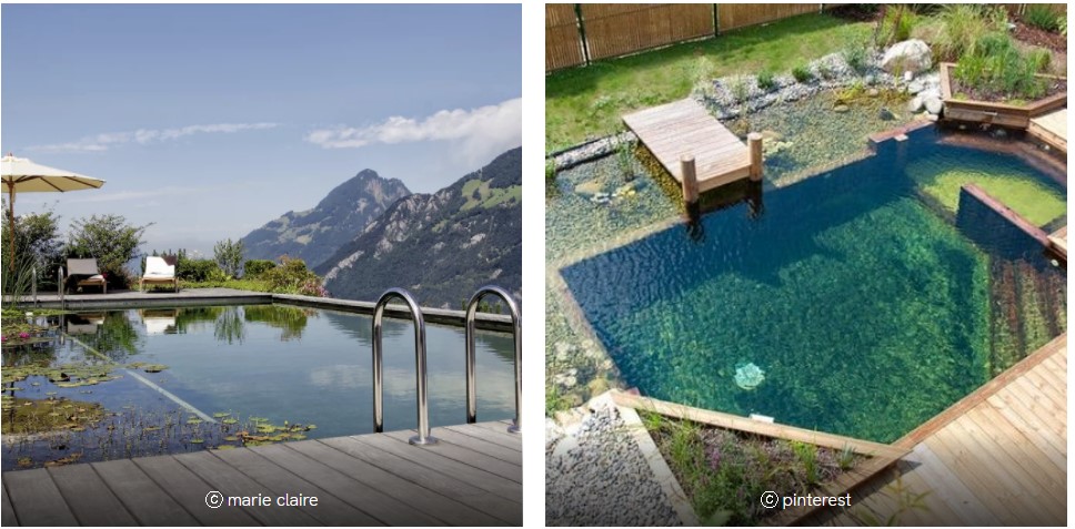 La piscine naturelle pour votre maison
