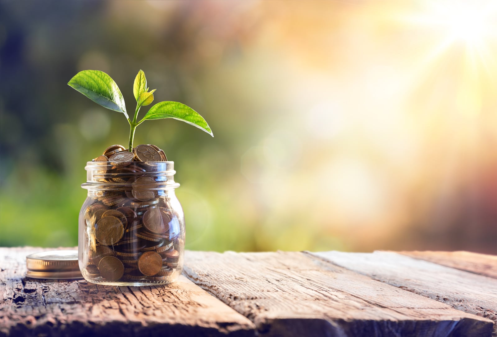 Construire pour investir