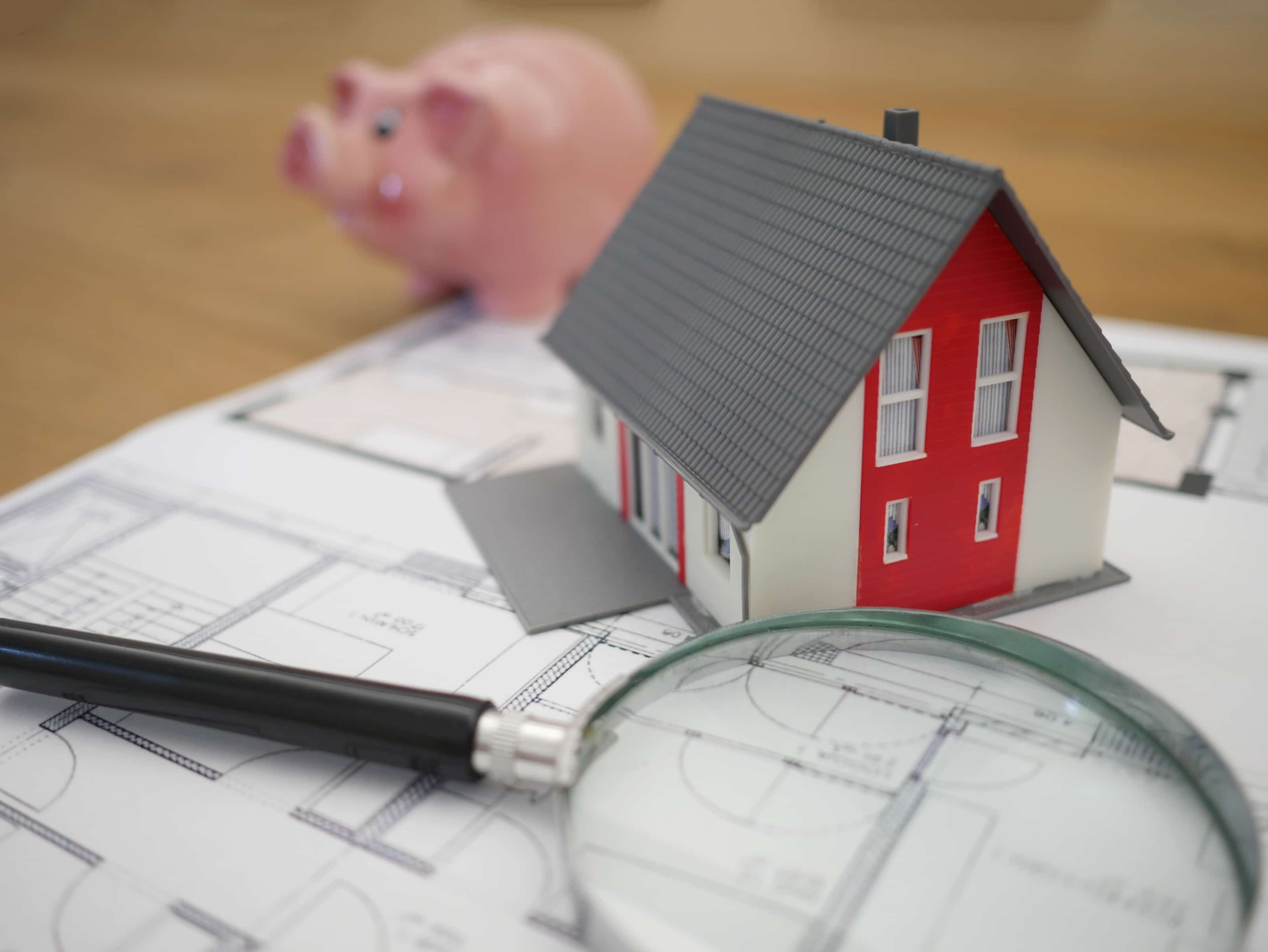 nos conseils sur la loi lemoine