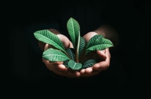 Optimiser l'efficacité énergétique d'une maison individuelle