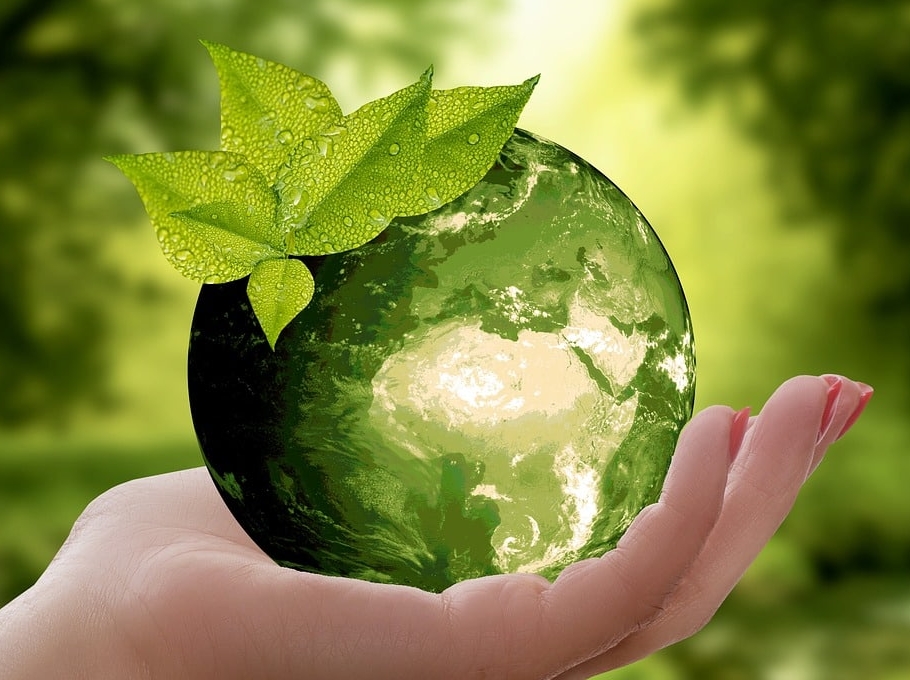 Efficacité énergétique de sa maison individuelle : comment l’optimiser ?